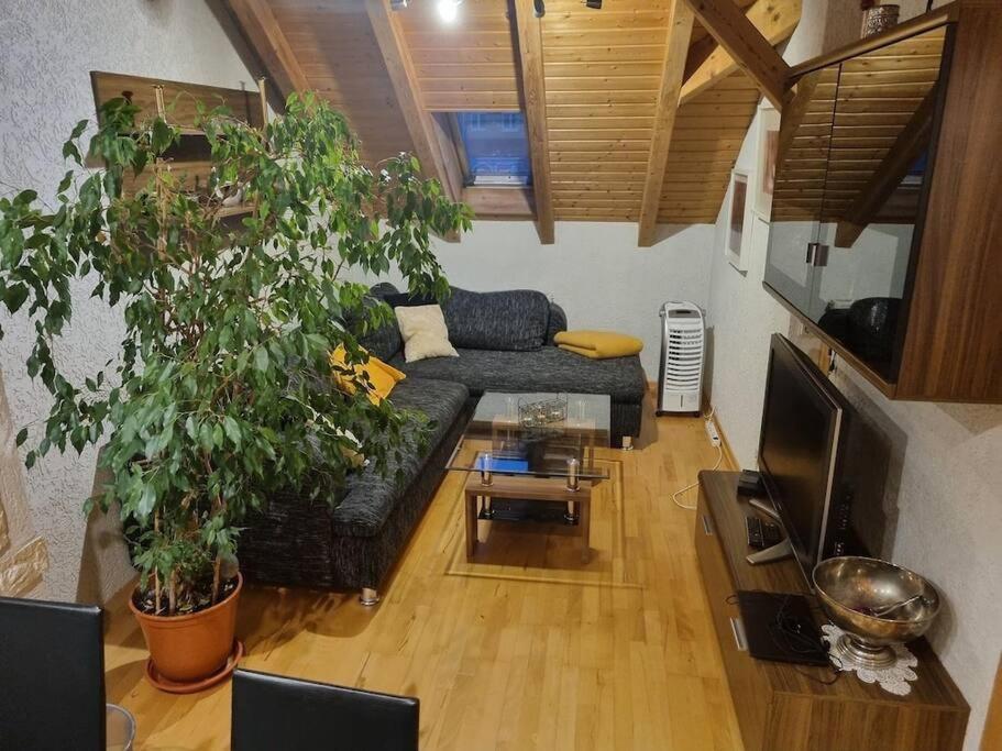Gemuetliche Dachgeschosswohnung Erfurt Exteriör bild